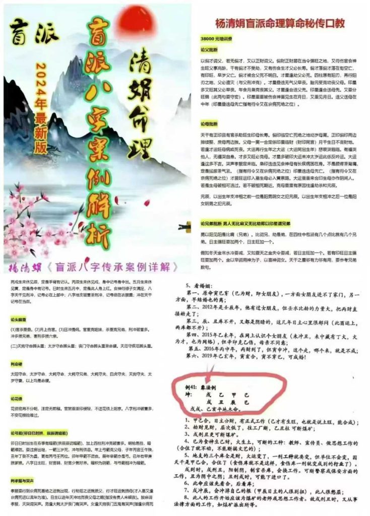 杨清娟《盲派八字案例集解析》PDF，262个实战案例直断核心，让你秒会盲派神算！