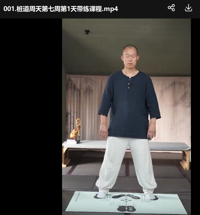 【49天通周天】桩道天高功班167讲视频课：从初级心法到龙盘虎踞，零基础解锁内家功夫核心-玄学资源网